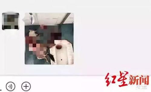 成都理工大学爆料新闻,揭秘校园重大事件背后的真相